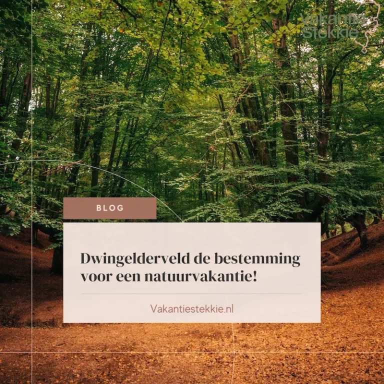 Blog dwingelderveld de bestemming voor een natuurvakantie