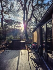 Boslodge in Drenthe