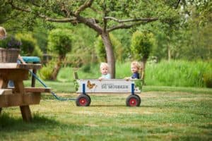 Groot vakantiehuis in Twenten