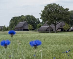 Romantisch overnachten drenthe